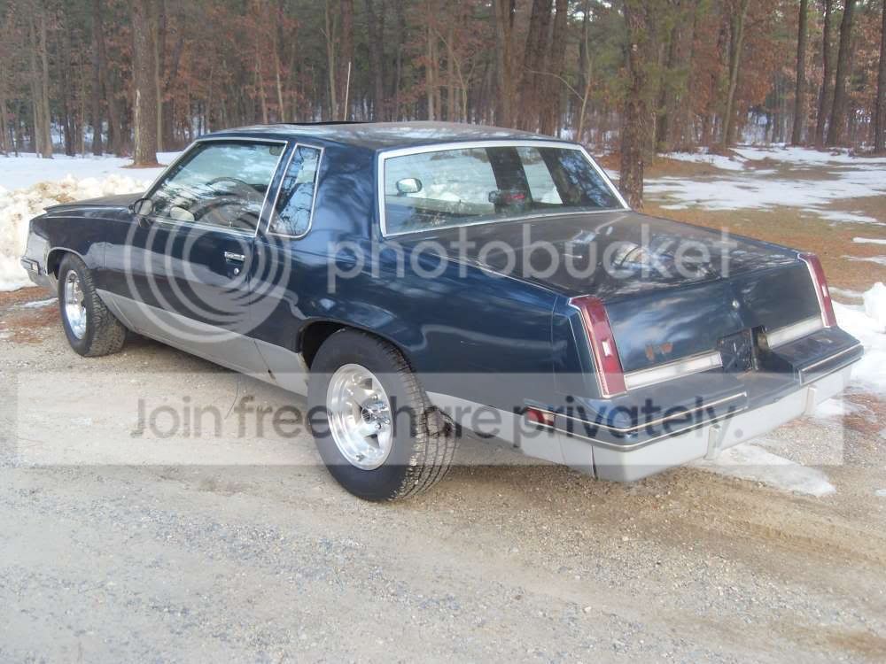 SDC12813.jpg