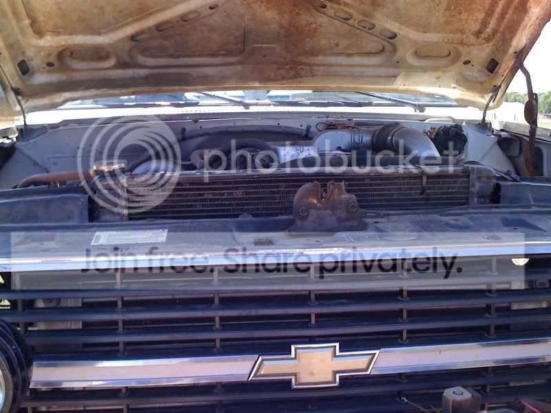 WhiteTruck027.jpg
