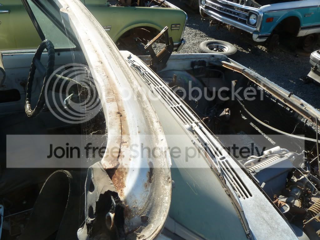 AAA513083.jpg