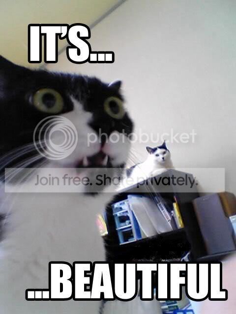 its-beautiful.jpg