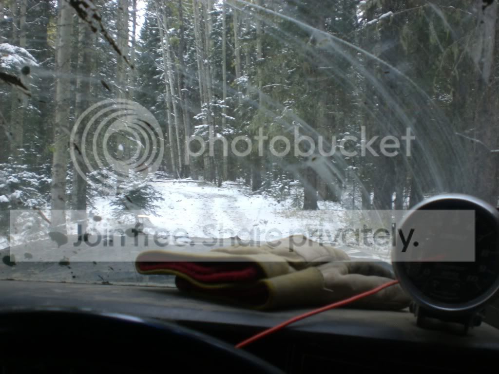 CIMG3024.jpg
