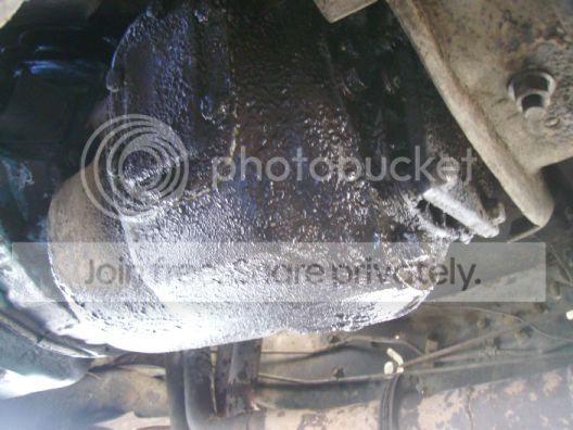 PICT0037_zps8f9069e7.jpg