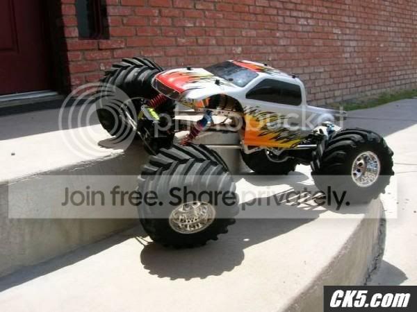 TXTurtle-1.jpg