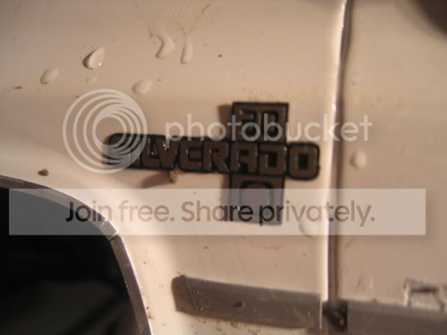 IMG_2908.jpg