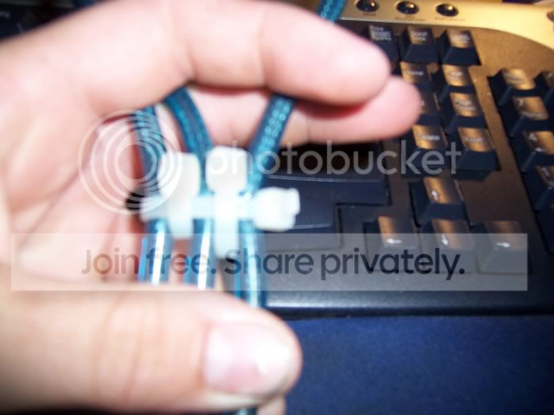 100_4464.jpg