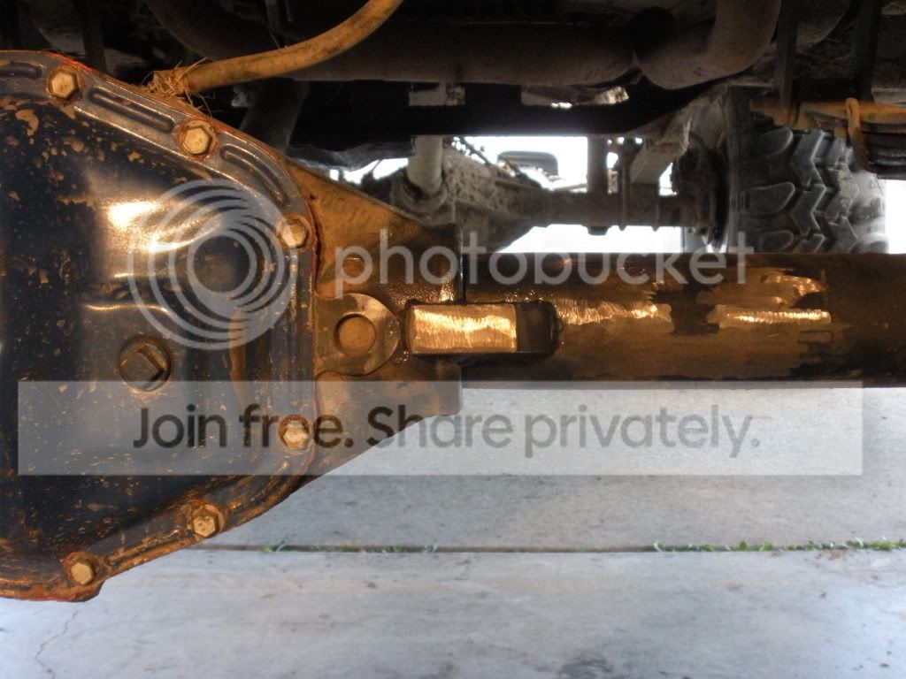DSCN5526.jpg