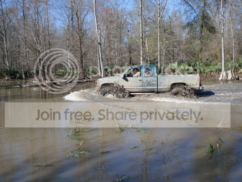 pondDSC00264.jpg