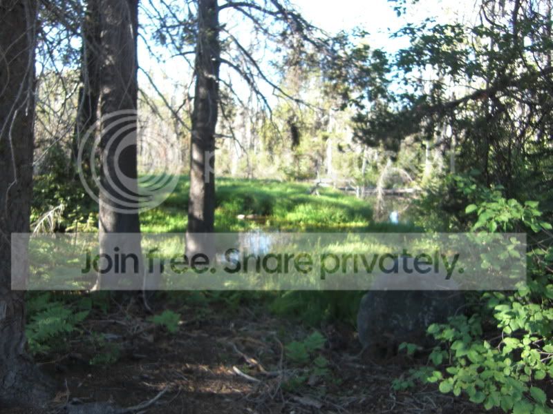 RubiconTrailJuly2012043.jpg