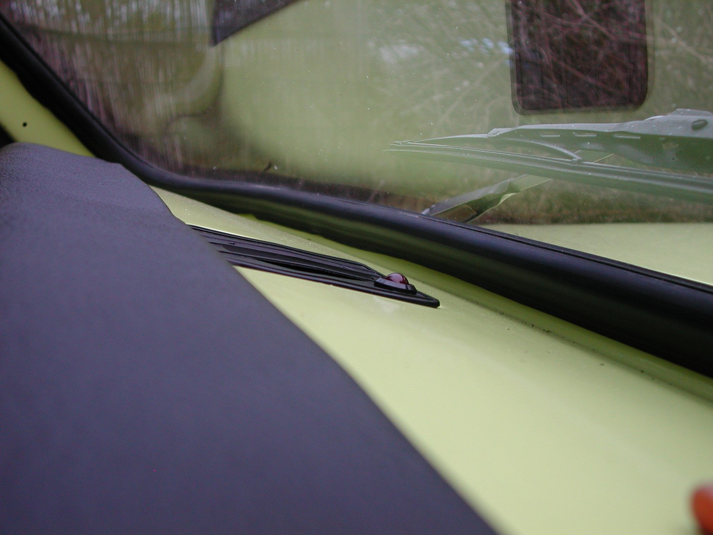 DSCN2237-vi.jpg