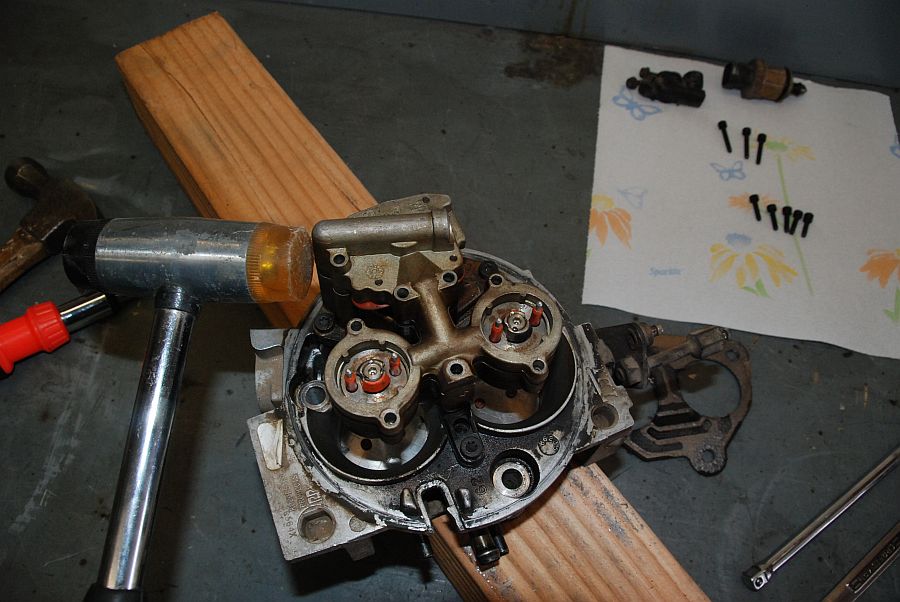 tbiu-11.jpg