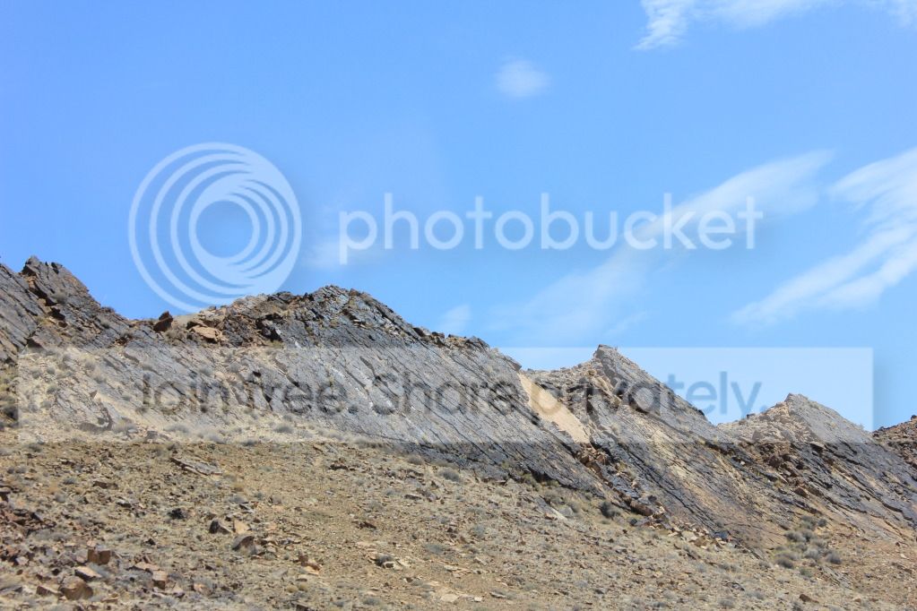 IMG_5557.jpg