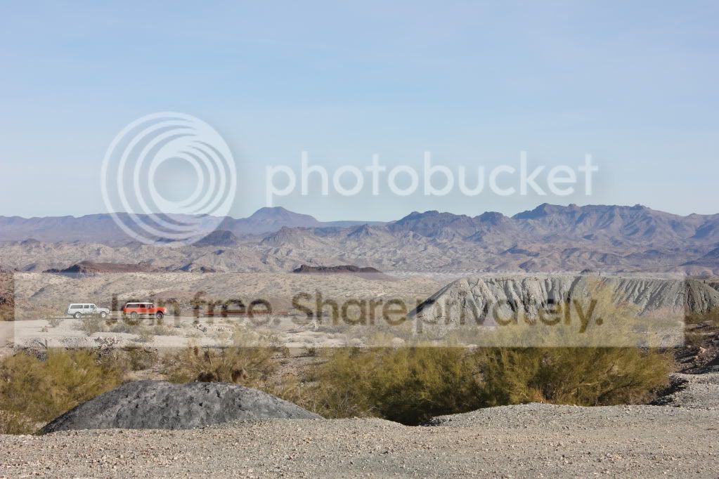 IMG_2979.jpg