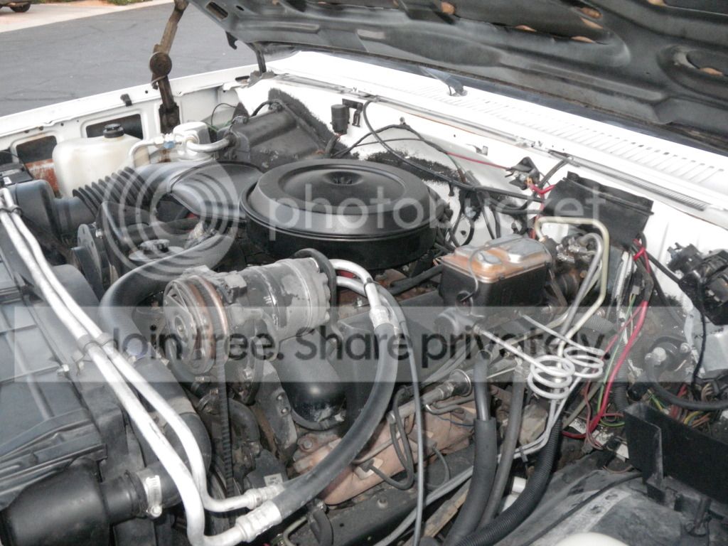 IMGP4329.jpg