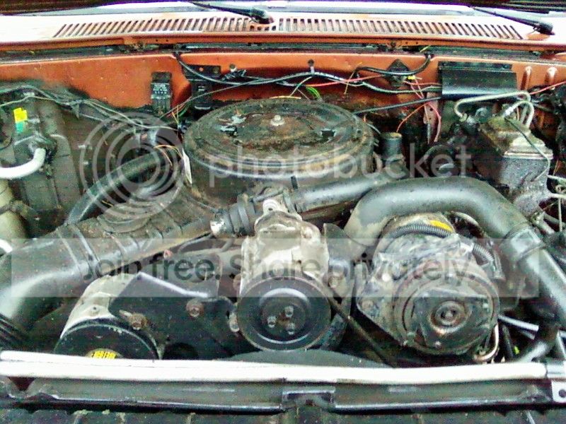 454.jpg