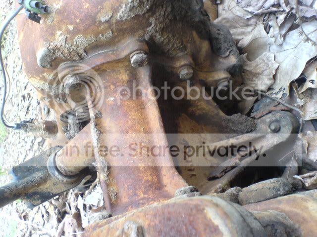 DSC00704.jpg