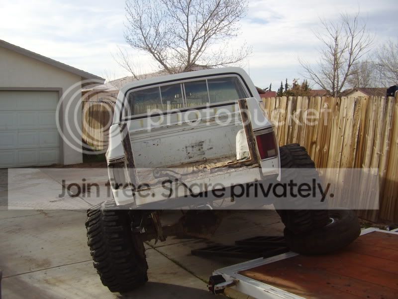 TRUCKSNPUPS002.jpg