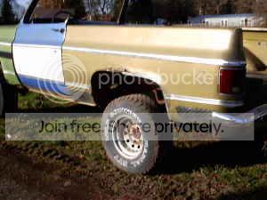 NEWBODY4.jpg