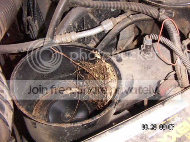 PICT0492.jpg