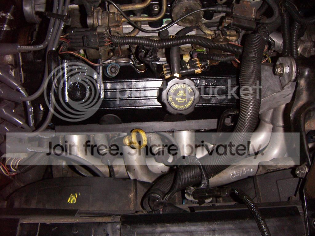 PICT0619.jpg