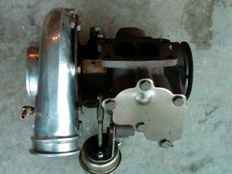 IMG00646-20110220-1751.jpg