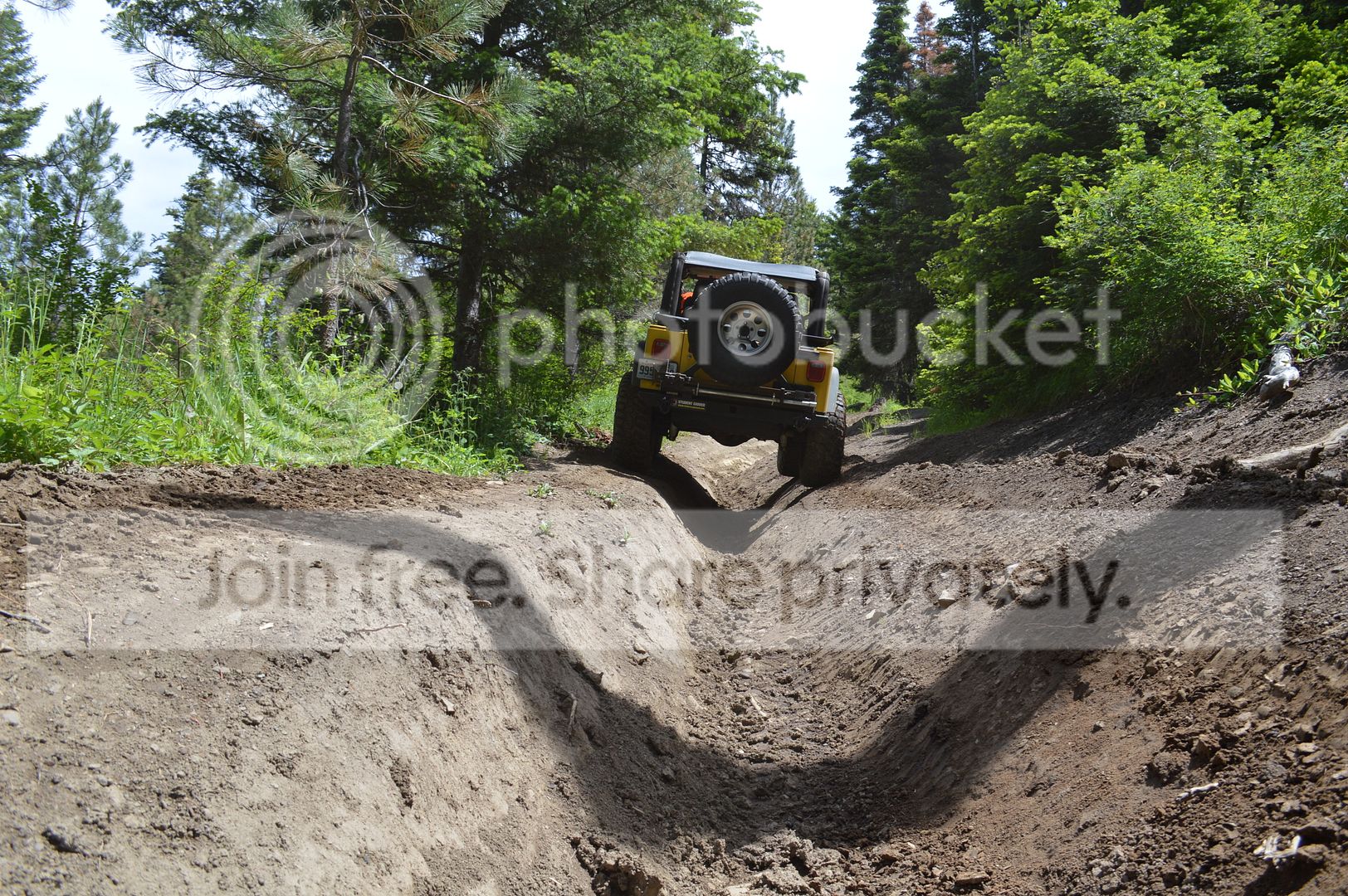 DSC_0133_zpsw5ihntzr.jpg