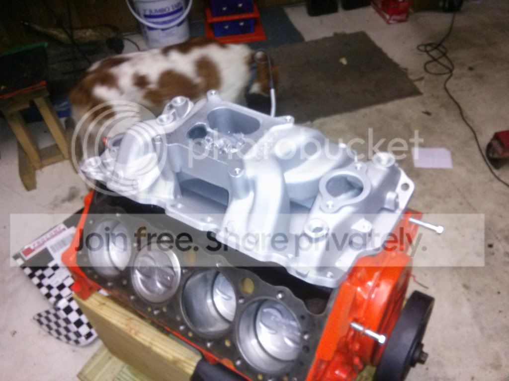 0517131049_zps3a494bf1.jpg