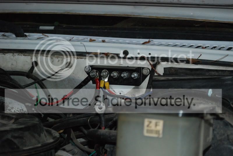 DSC_0464.jpg