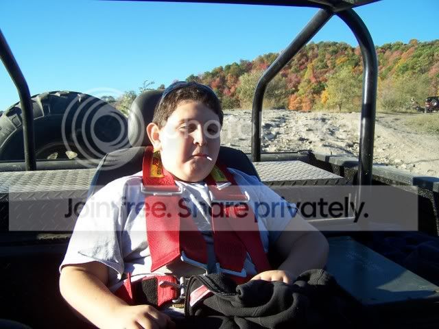 pics355.jpg