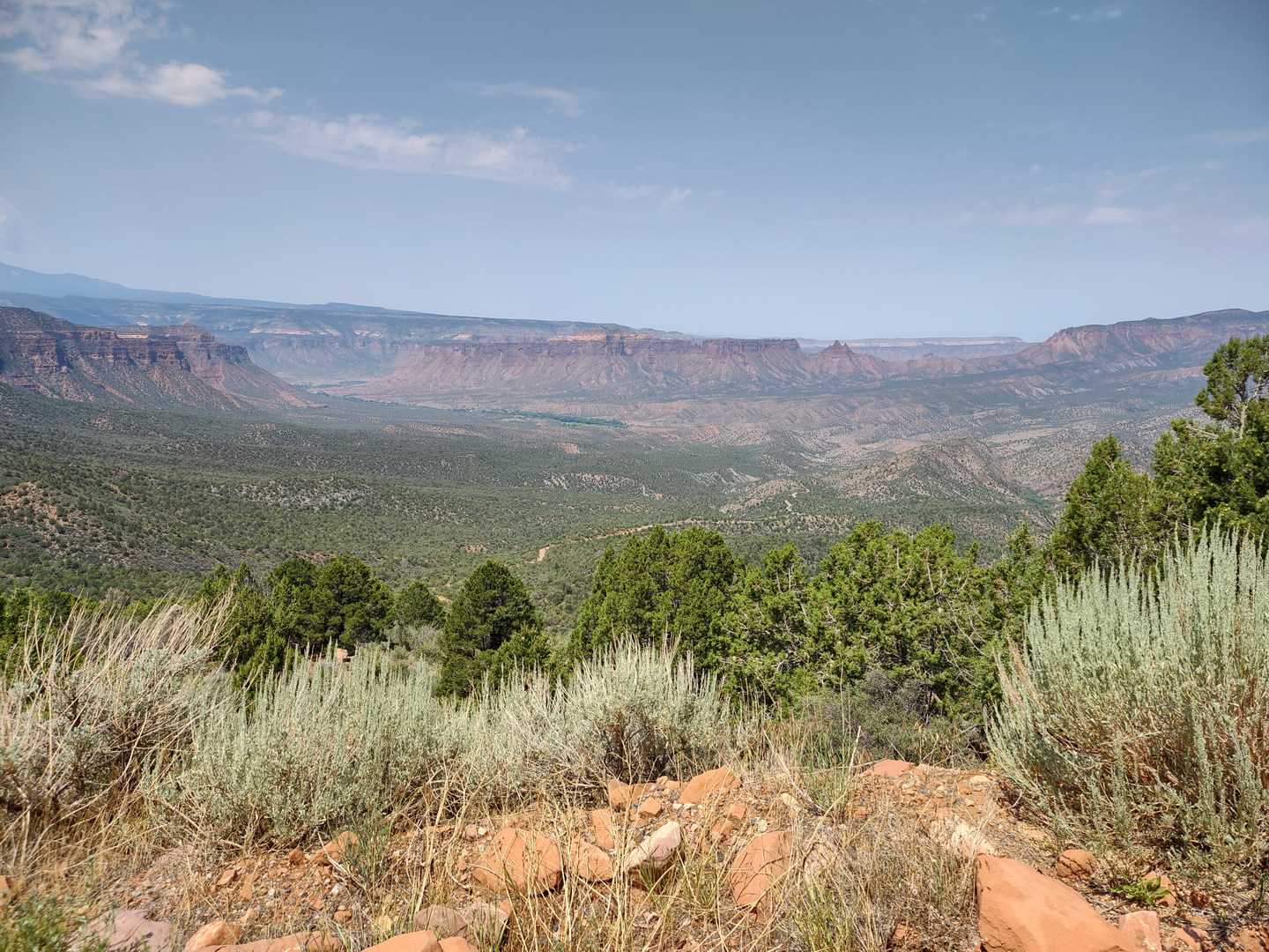 IMG_20210715_120439875_HDR.jpg