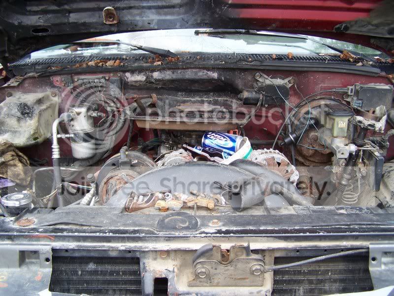 pic2.jpg