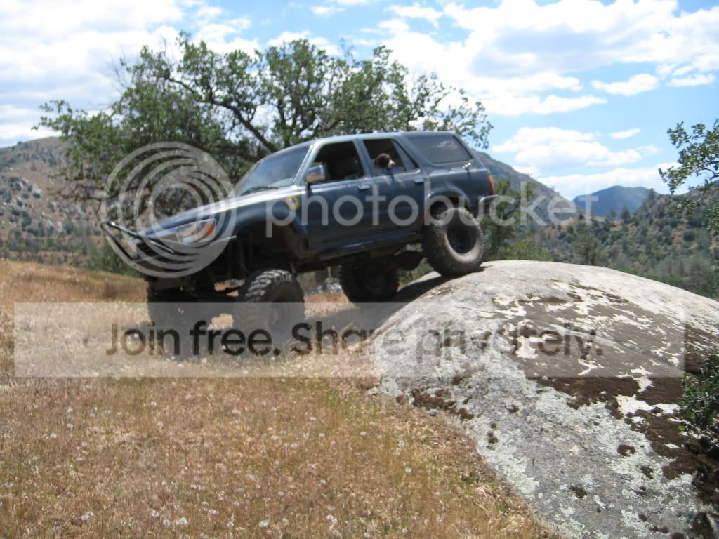 IMG_0260.jpg