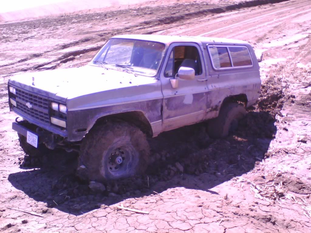 IMG0011A.jpg