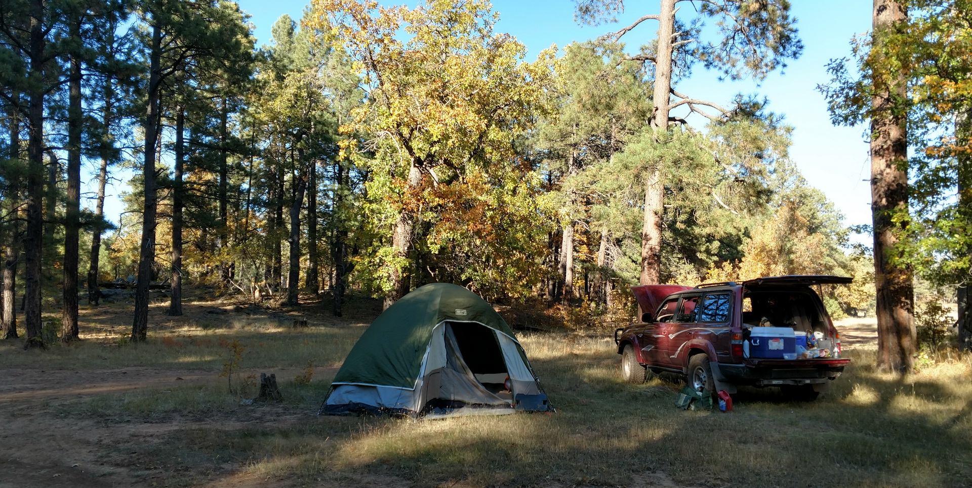 IMG_20171005_160924075_HDR.jpg