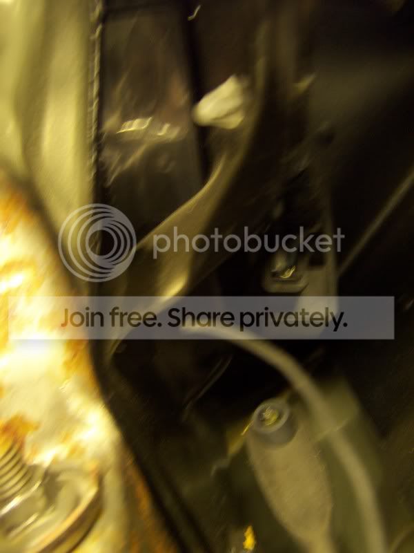 100_6072.jpg