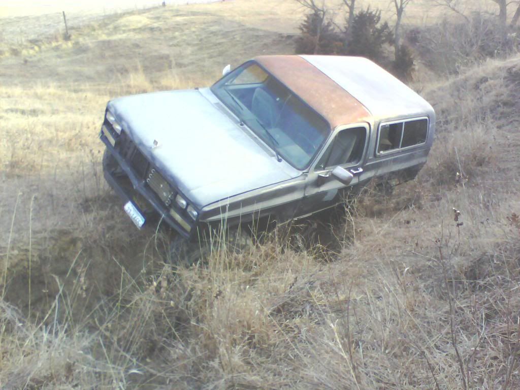 IMG0137A.jpg