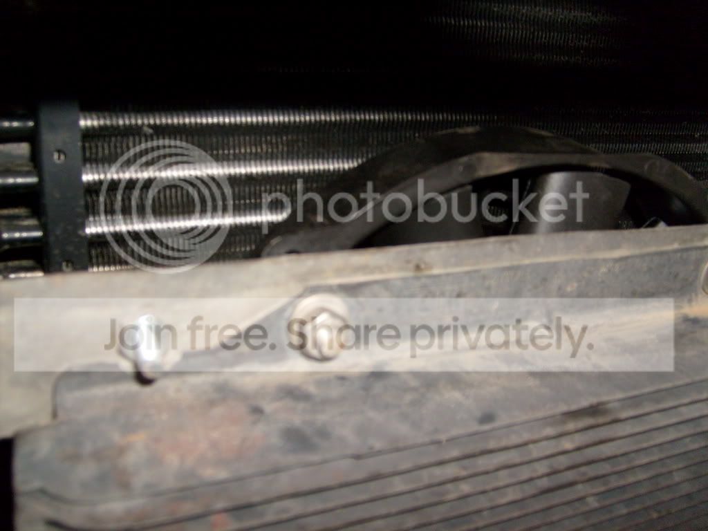 S6300035.jpg