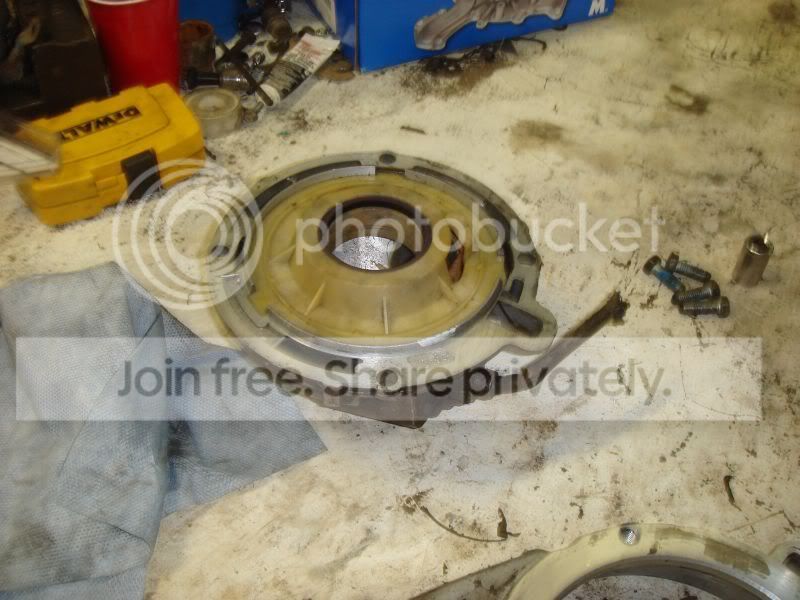 DSC09965.jpg