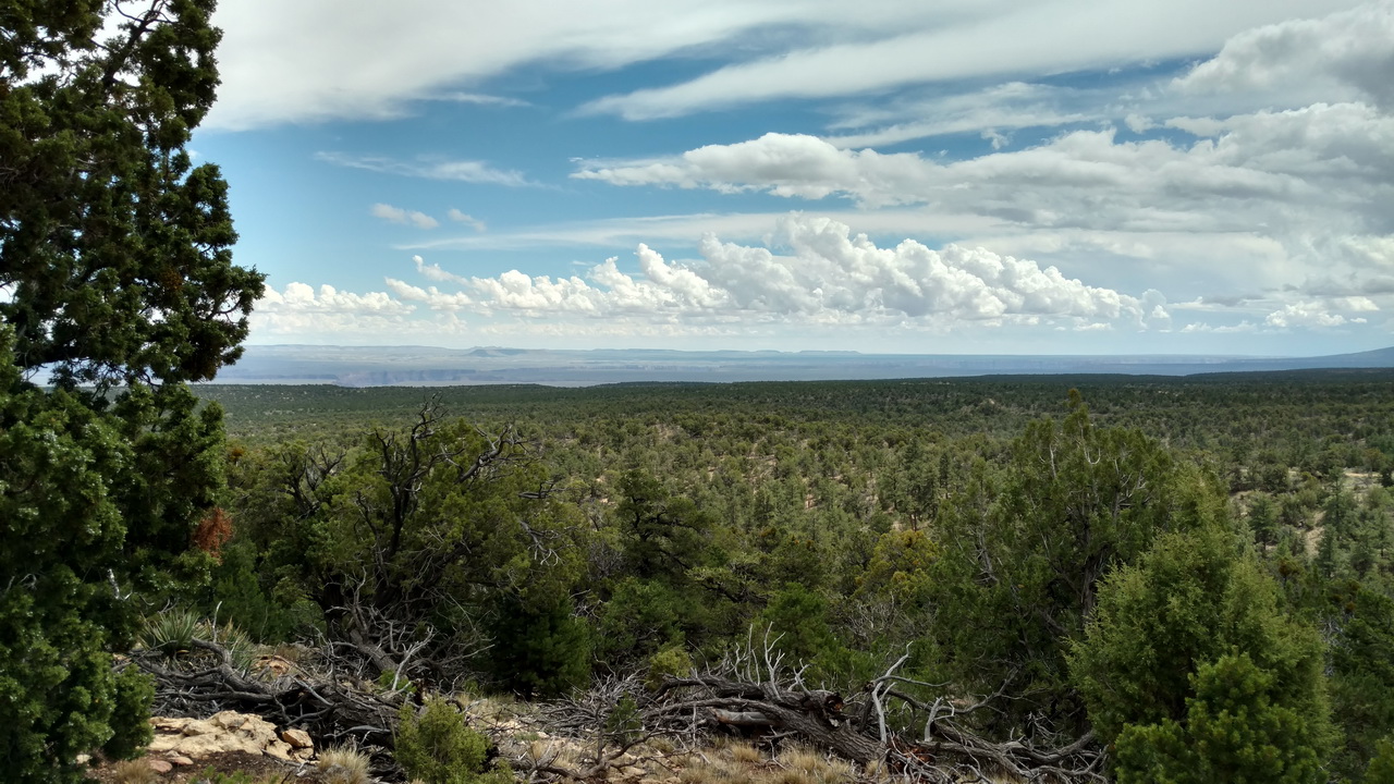 IMG_20160902_122827355_HDR.jpg