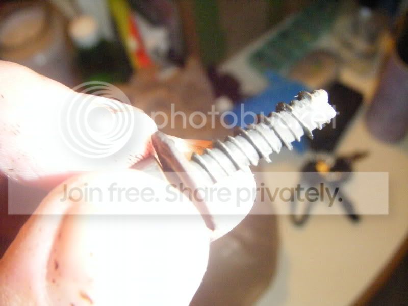 DSCF7225.jpg