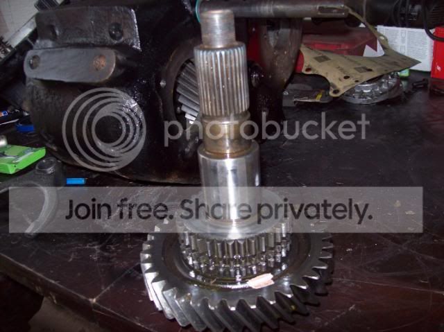 007-3.jpg