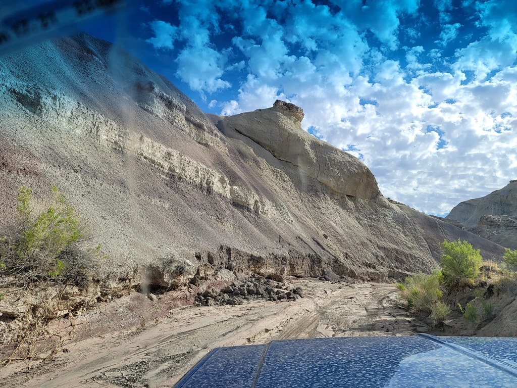 52198592427_db61139e76_b.jpg