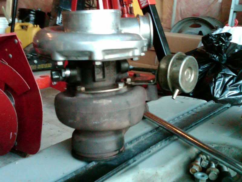 IMG00647-20110220-1752.jpg
