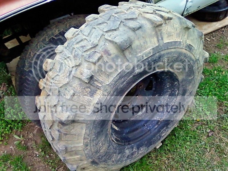 swamper2.jpg