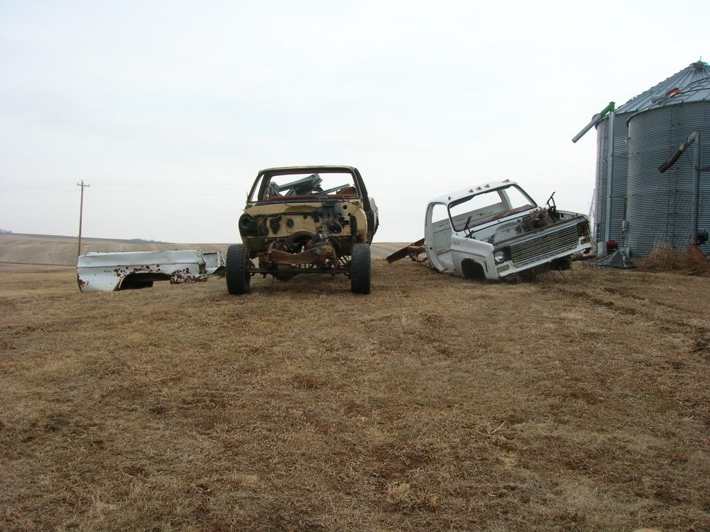 Picture004.jpg