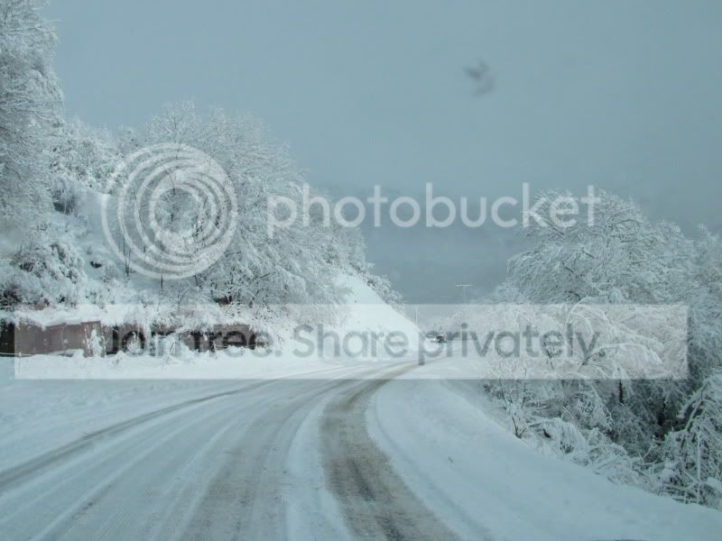 DSCF6578.jpg
