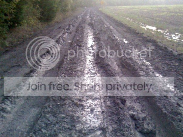 ruts.jpg