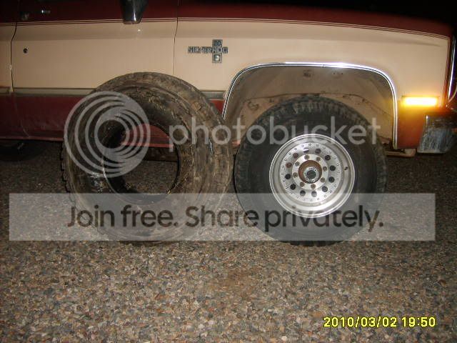 S5000031-1.jpg