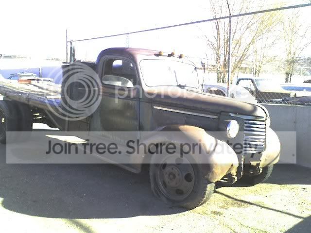 img005.jpg