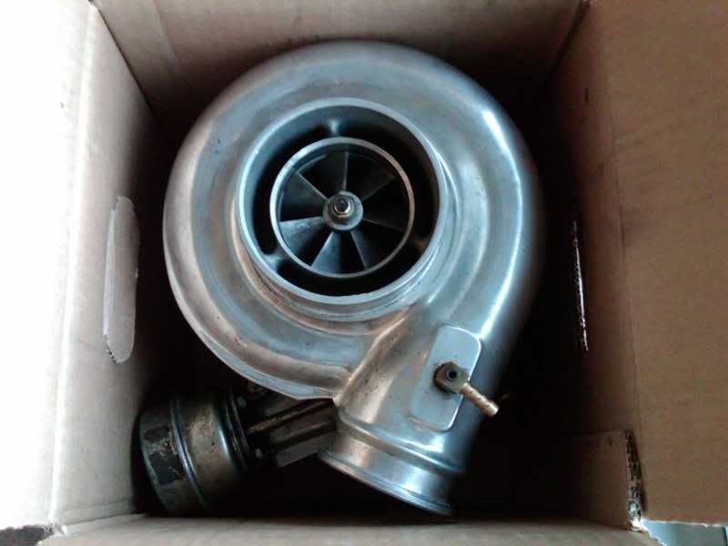 IMG00645-20110220-1748.jpg