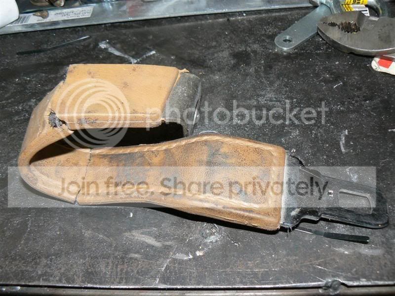 SeatBelt1.jpg